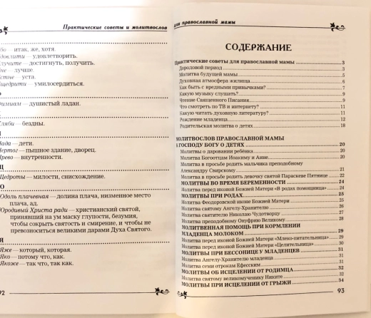 Практические советы молодой православной мамы Доктор богословия Андрей Горныш
