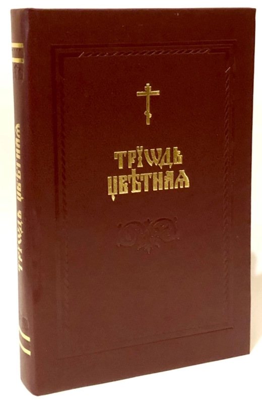 Триодь цветная